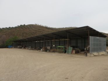 Nau industrial en venda a CR Cordoba-Almeria S/N. Paraje Ermitica o R