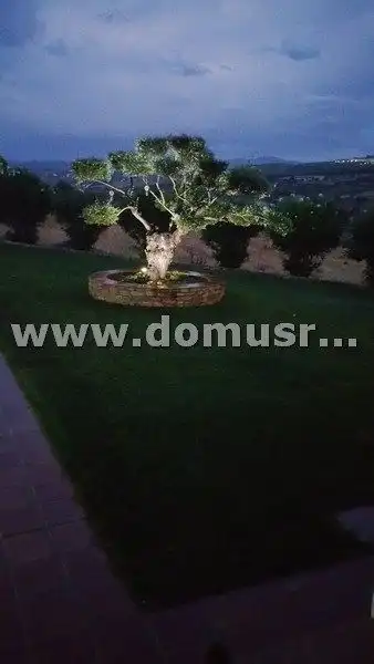Villa con terrazza in vendita a Centro, imagen 58