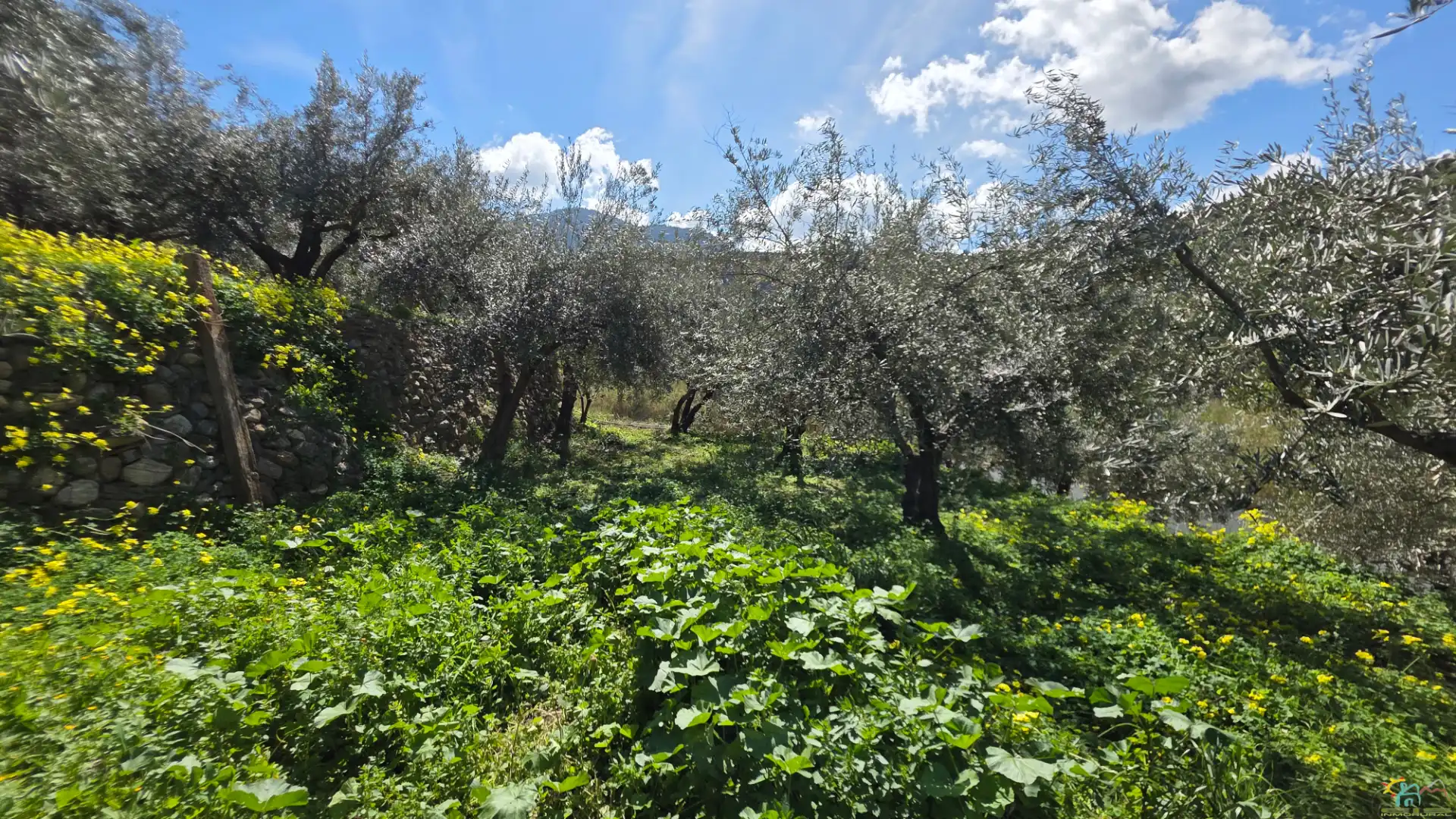 Finca rústica en venda en Canjáyar amb Moblat
