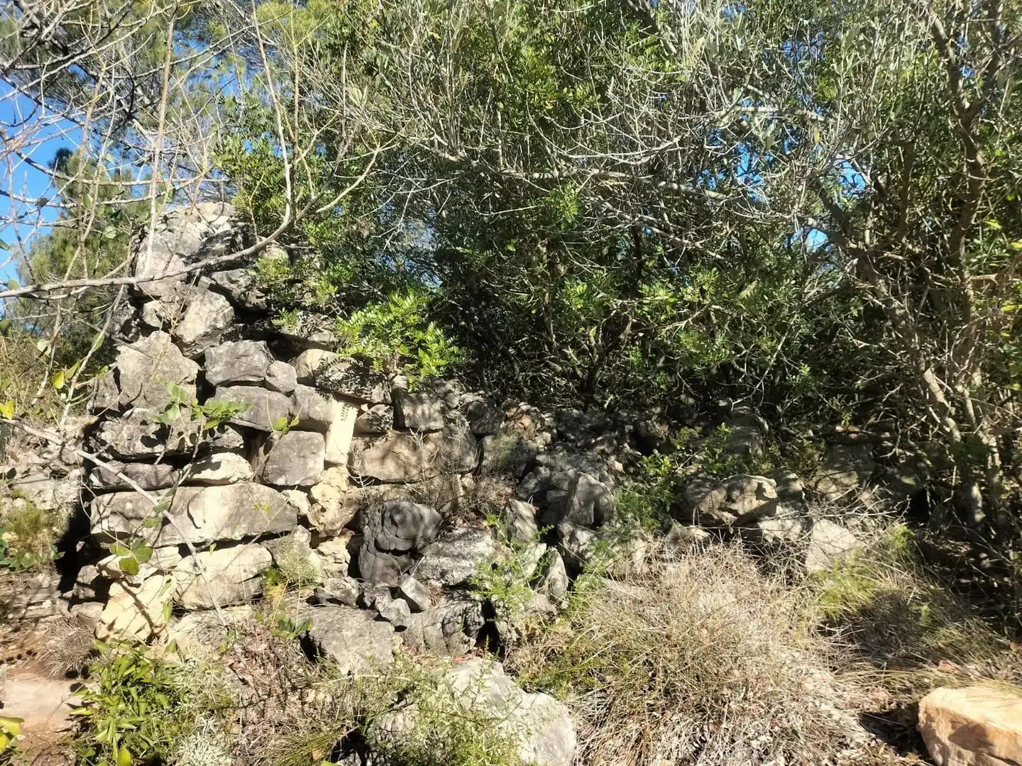 Terreno rustico in vendita a Polígono 6 Parcela 31 CARRASQUETA. NAVARRES (VALE 6, imagen 13