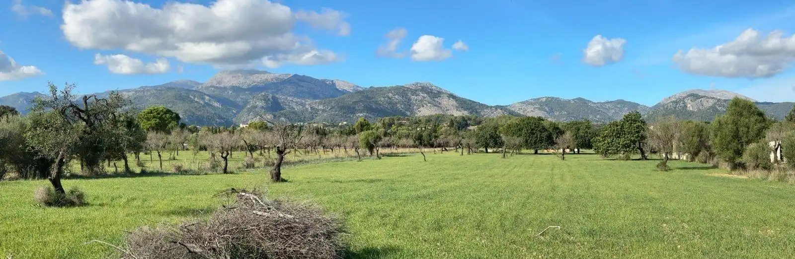 Terreno residenziale in vendita a Camino Selva, imagen 16