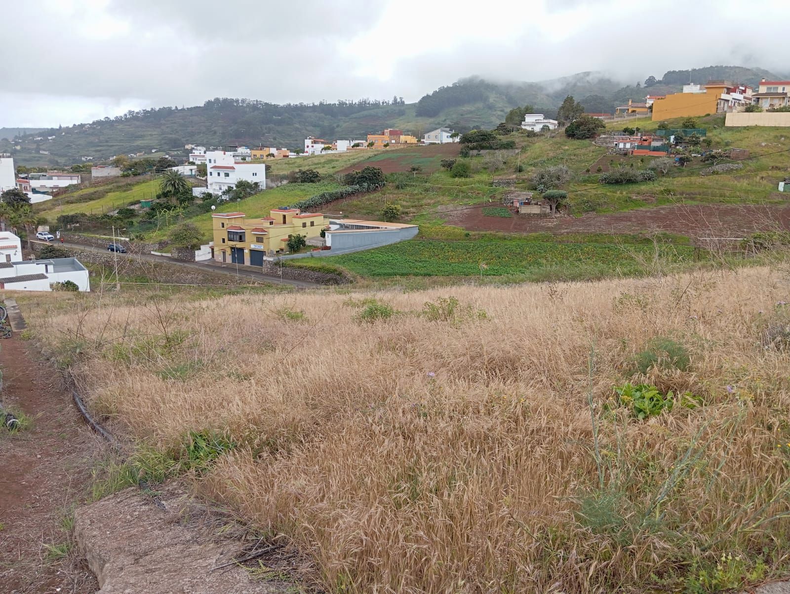 Land for sale in Firgas