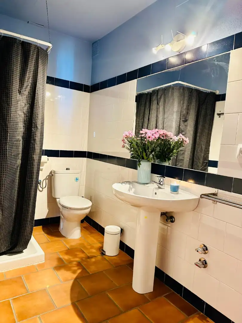 Bathroom of Flat for sale in Aracena  with Air Conditioner, Furnished and Oven