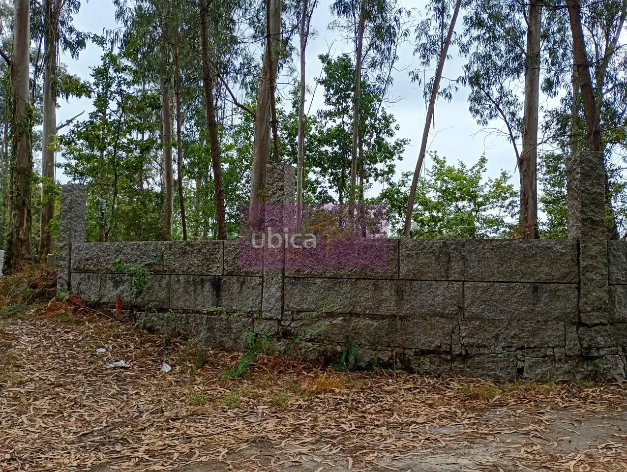 Terreni e lotti in vendita a Salceda de Caselas, imagen 6