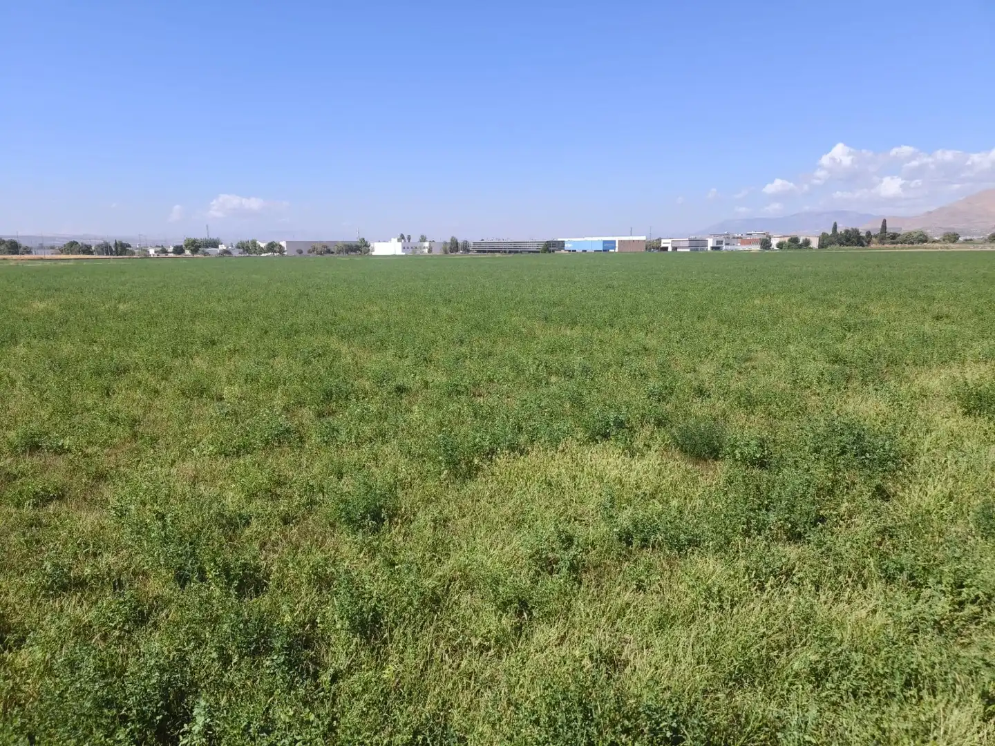 Industrial land for sale in Maracena, Granada