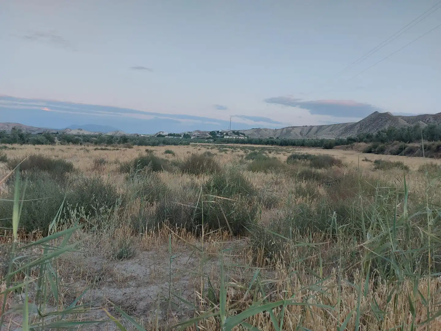 Terreno en venta en Alicún de Ortega
