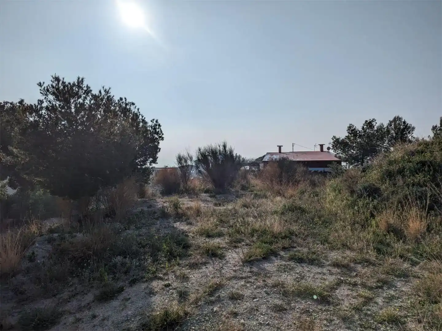 Terreno en venta en Califòrnia - Santa Madrona  