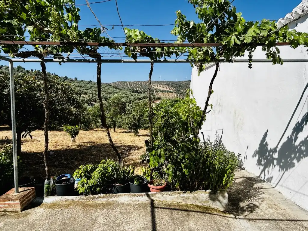 Casa rústica en venda a Villanueva de Algaidas, imagen 18