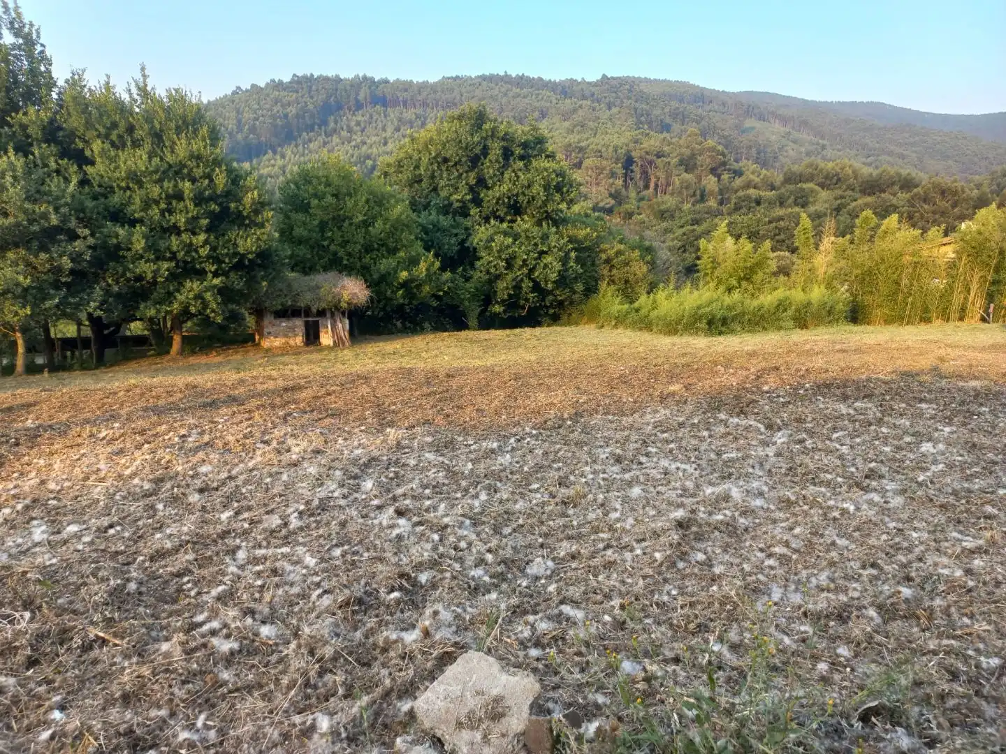 Terreno en venta en Bakio