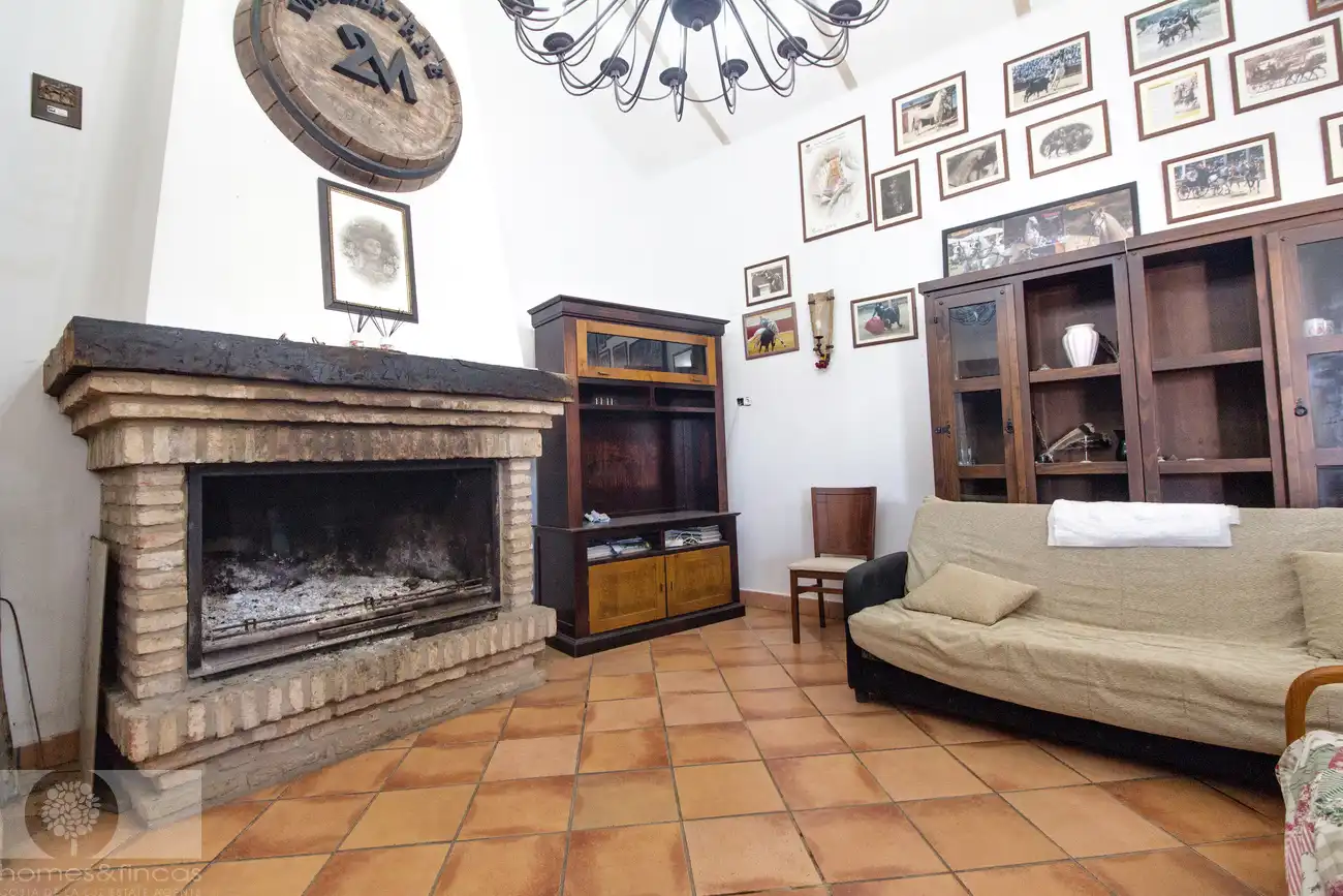 Sala de estar de Finca rústica en venta en Trigueros