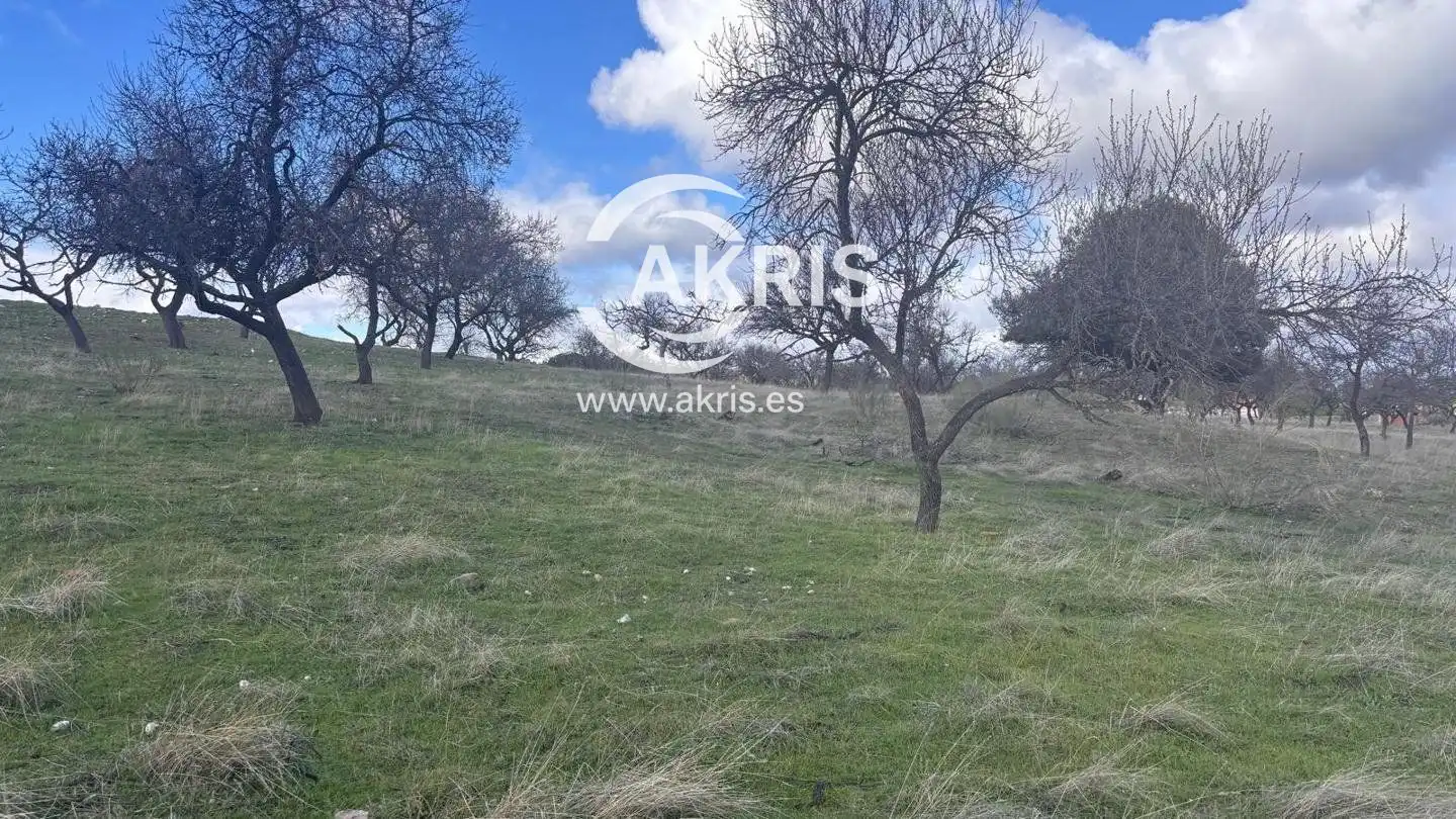 Terreno rustico in vendita a Arrabal Cerro Palos, imagen 5