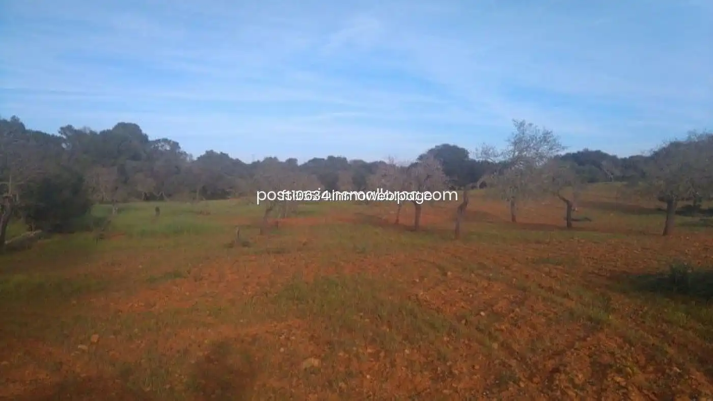 Terreno rustico in vendita a Algaida, imagen 32