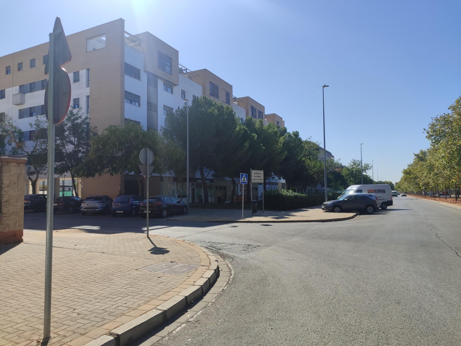 Vista exterior de Ático de alquiler en  Sevilla Capital con Aire acondicionado, Jardín privado y Terraza