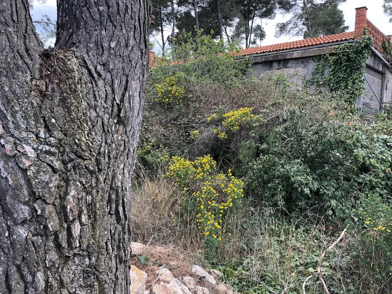 Oficina en venta en C/ Bruc, La Torre de Claramunt
