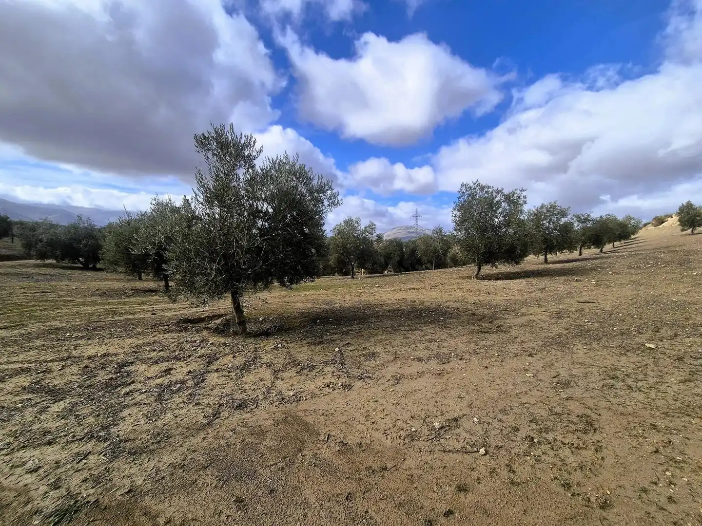 Terreno rústico en venta en Salar, imagen 7