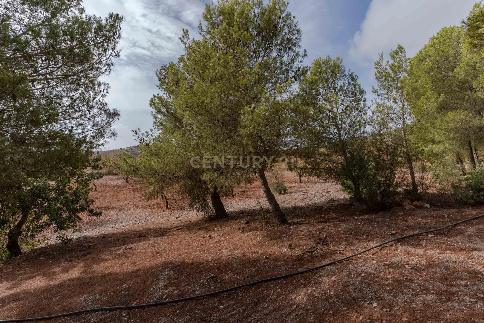 Terreni e lotti in vendita a PHPX+WF Gualchos, Spain, imagen 23