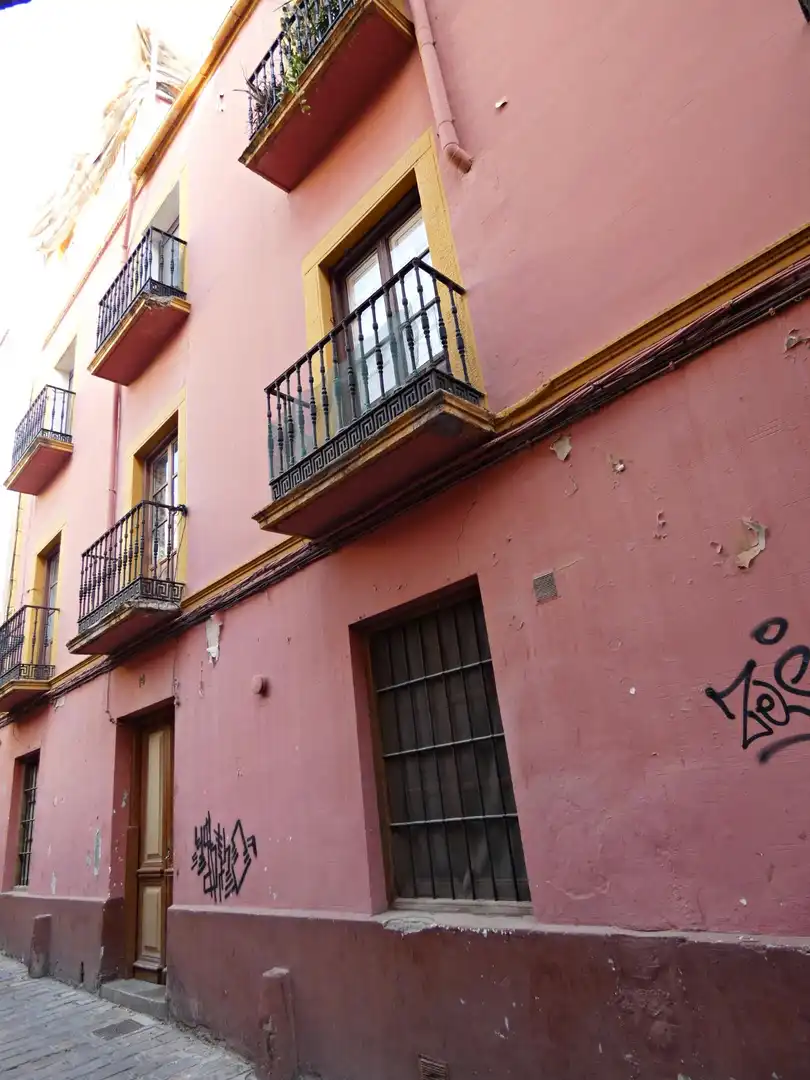 Inmuebles singulares en venta en DEL SEÑOR, imagen 2
