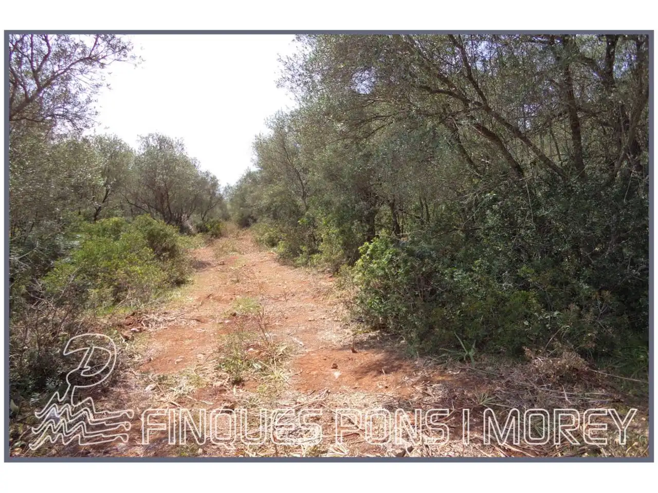 Rustikales Grundstück zum Verkauf in Camino Sta Magdalena sn, imagen 27