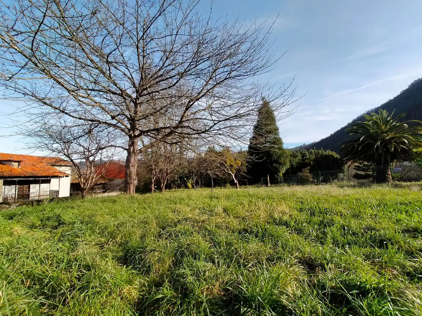 Casa con jardín en venta en Pravia, imagen 64