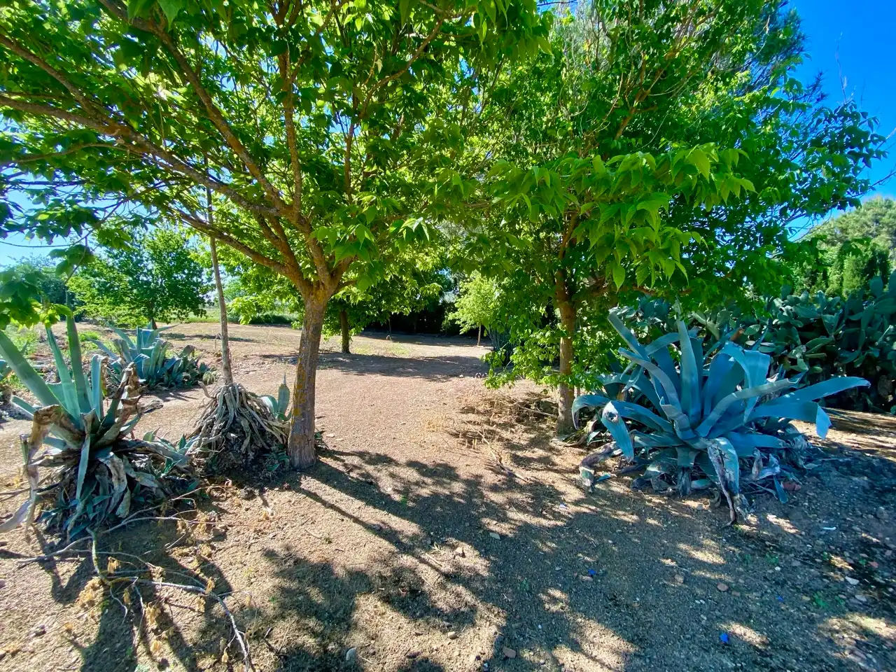 Casa o chalet en venta en Fernán Caballero con Aire acondicionado, Jardín privado y Trastero