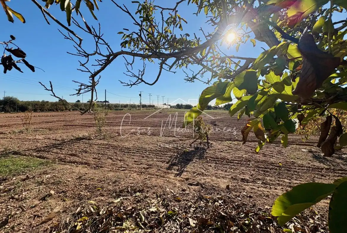 Finca rústica en venta en Mont-roig del Camp con Jardín privado, Terraza y Piscina