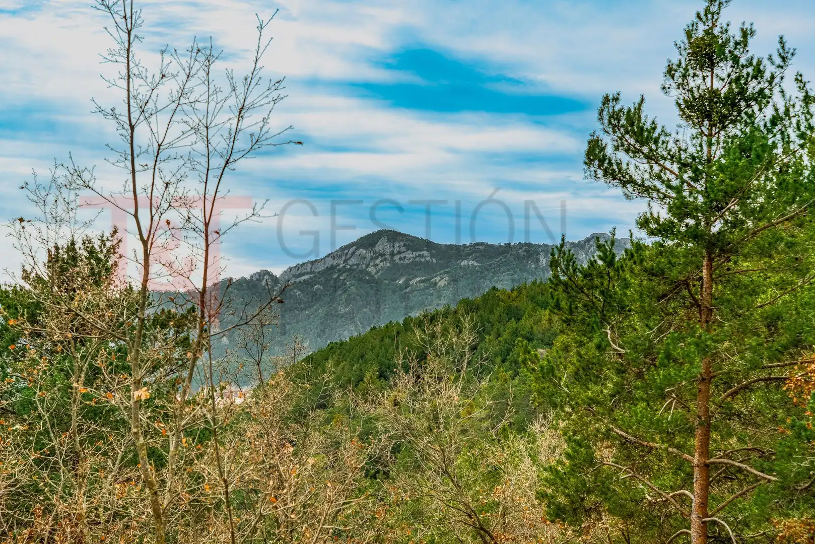 Finca rústica en venta en C-462, 7, Sant Llorenç de Morunys