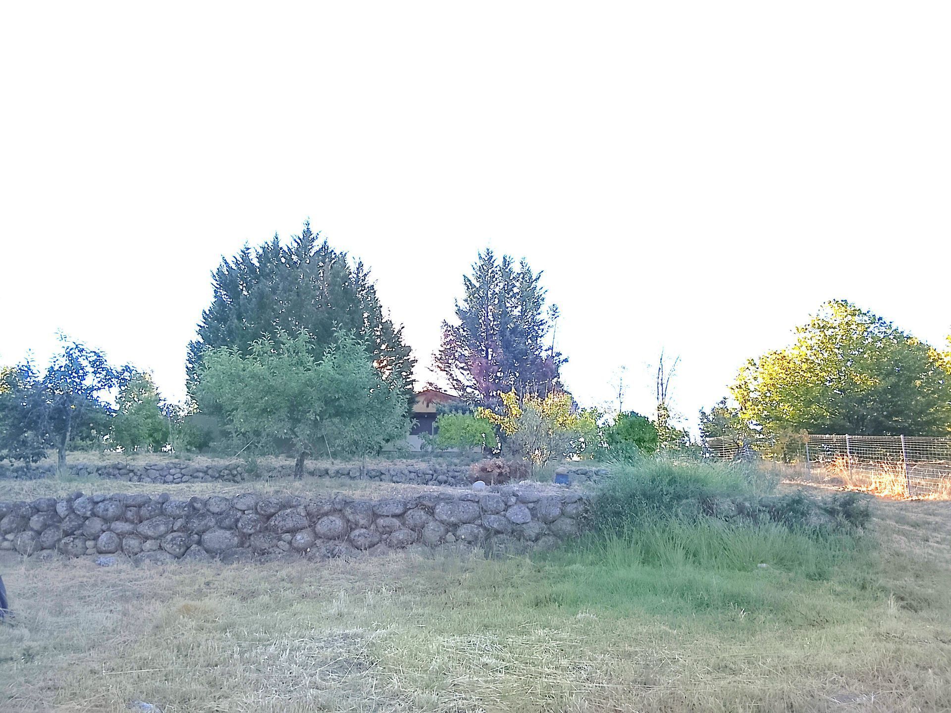 Land for sale in Madrigal de la Vera
