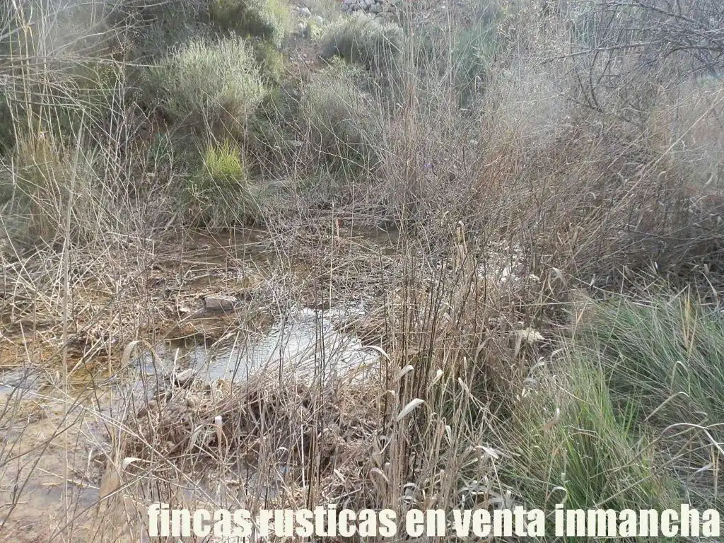 Rural land for sale in Requena, imagen 12