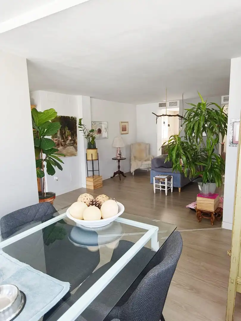 Sala d'estar de Àtic en venda en San Fernando amb Aire condicionat, Calefacció i Terrassa