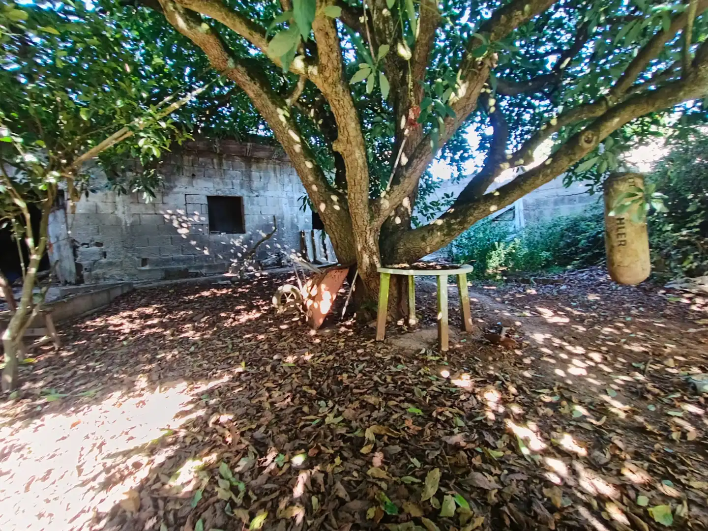 Landhaus zum Verkauf in Calle de Elías Bacallado Hernández, imagen 16