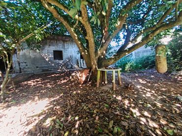 Casa rústica en venda a Calle de Elías Bacallado Hernández