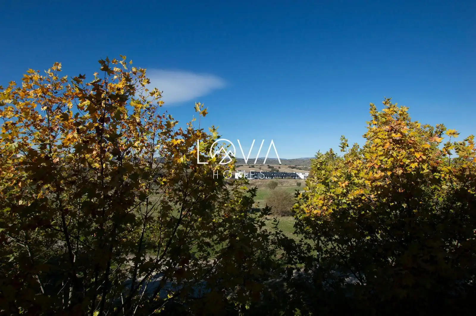 Duplexes for sale in Valle del Cerrato, 5, Los Llanos - Valle Pardo