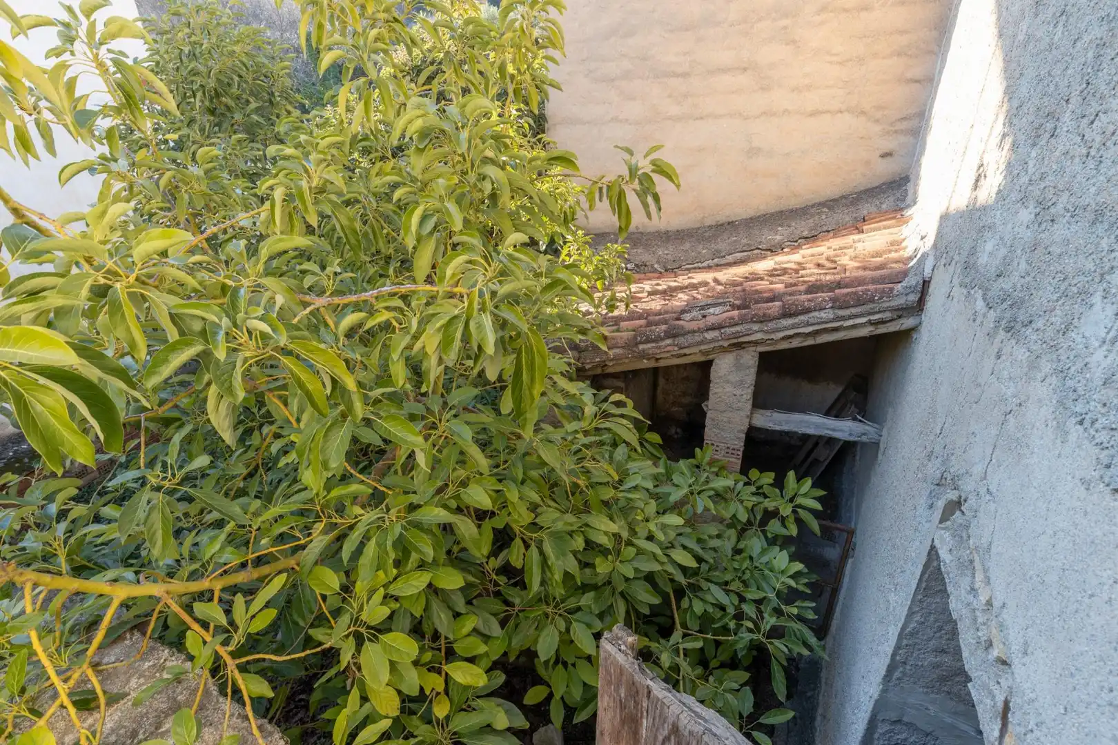 Casa con jardín en venta en Albuñuelas, imagen 14