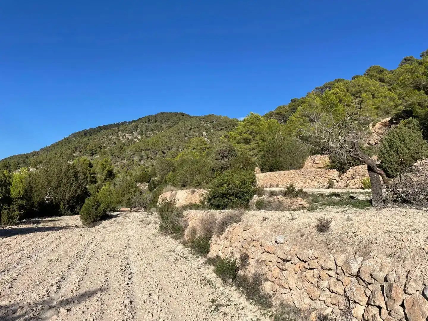 Finca rústica en venda en Sant Josep de sa Talaia