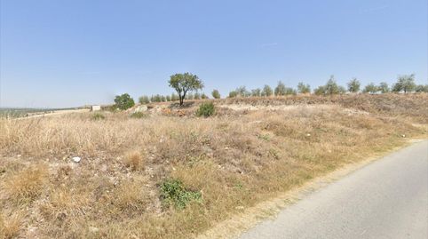 Foto 2 de Terreny en venda a Poleares, Lucena