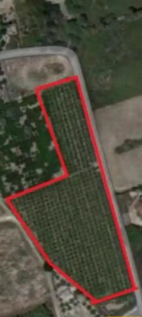 Rural land for sale in Partida de la hoya polígono 2 148B