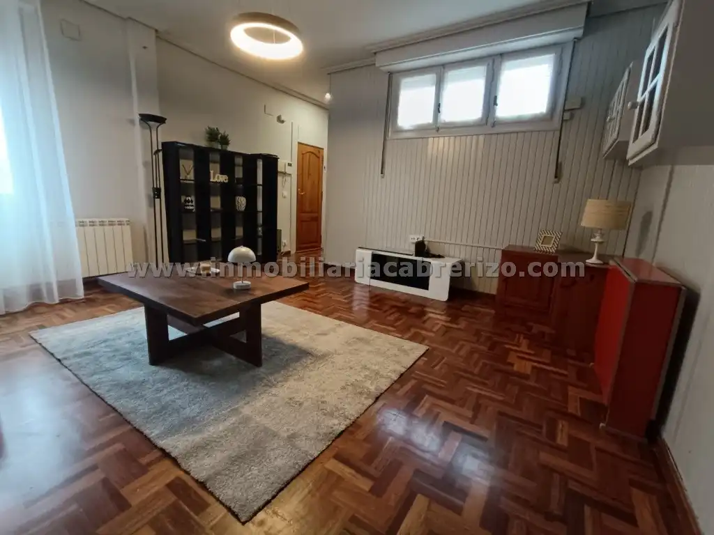 Apartments for rent in Avenida República Argentina, Gran Via