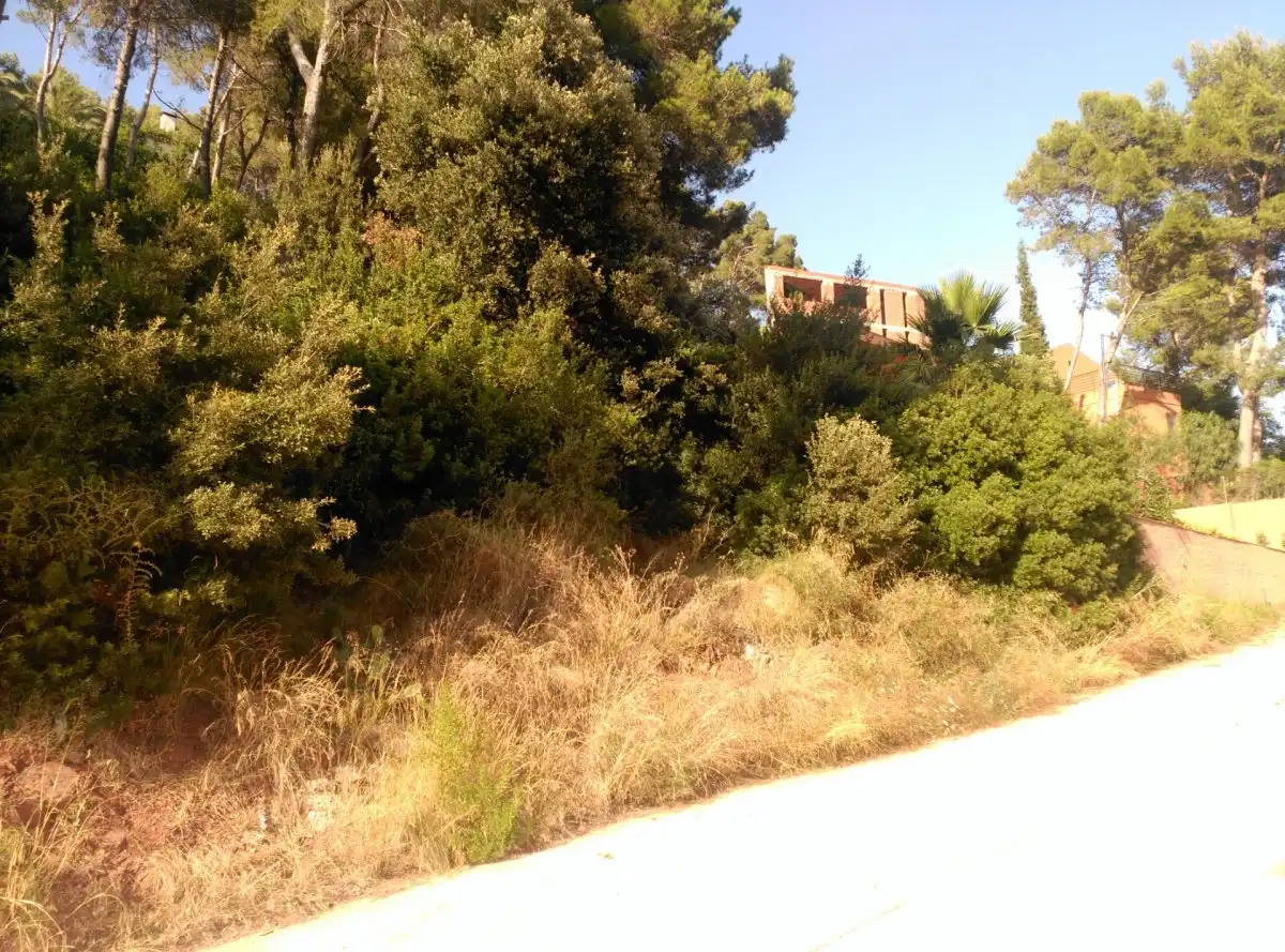 Terreni e lotti in vendita a Corbera de Llobregat, imagen 4