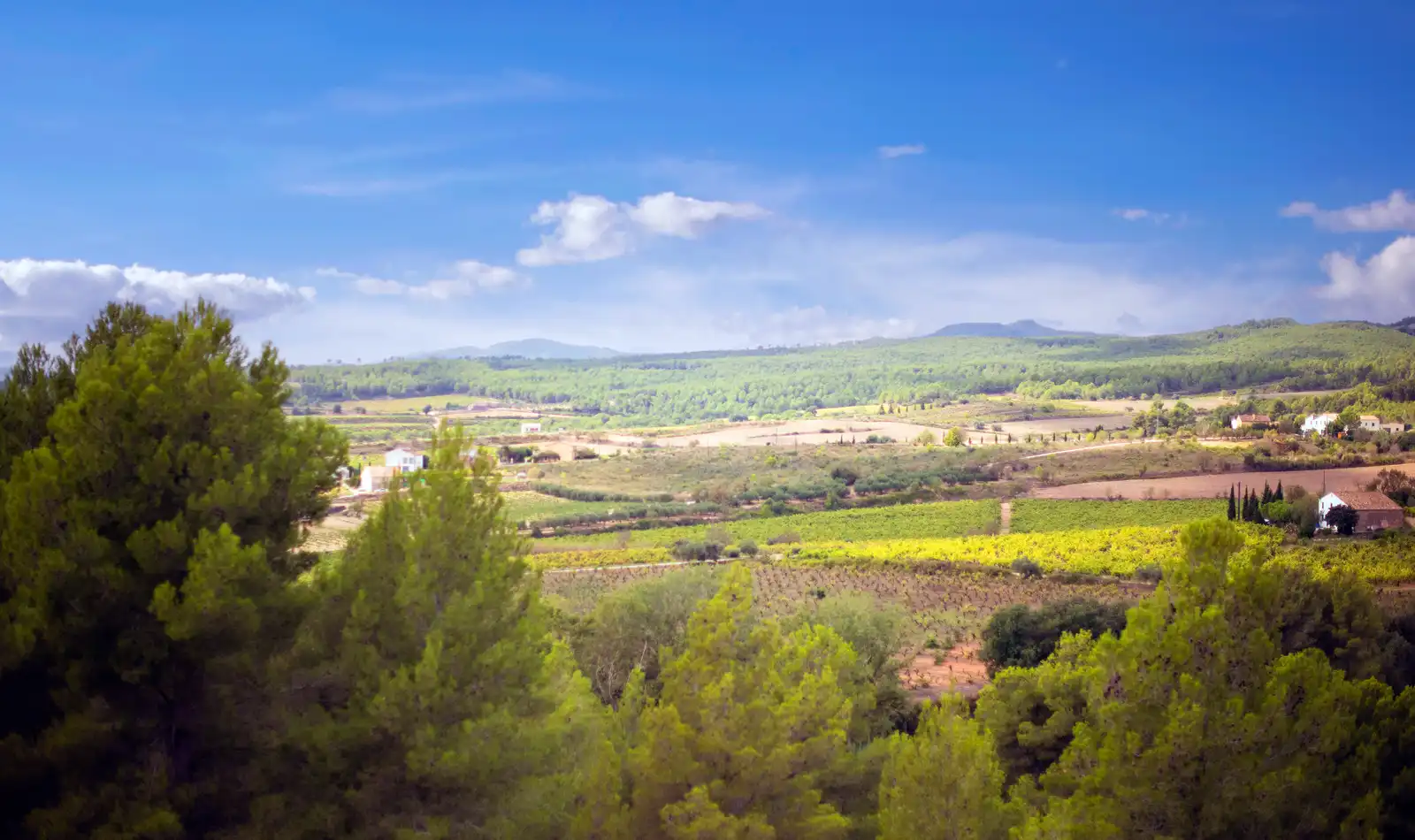 Finca rústica en venta en Font-rubí con Calefacción, Jardín privado y Terraza