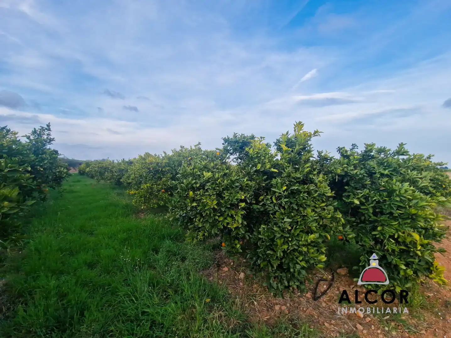 Finca rústica en venda en Càlig