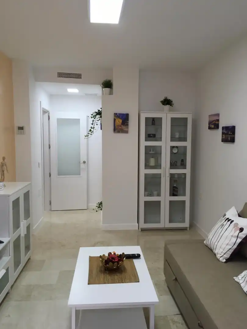 Piso de alquiler en Málaga con Aire acondicionado, Amueblado y Horno