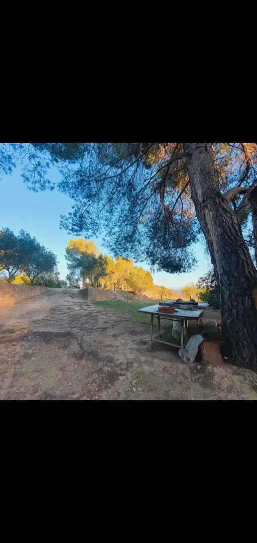 Casa en venta en Móra d'Ebre, imagen 23