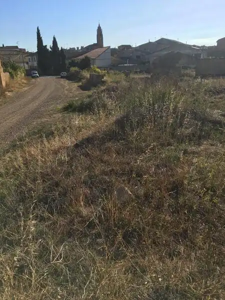 Terreni e lotti in vendita a S Francisco, imagen 17