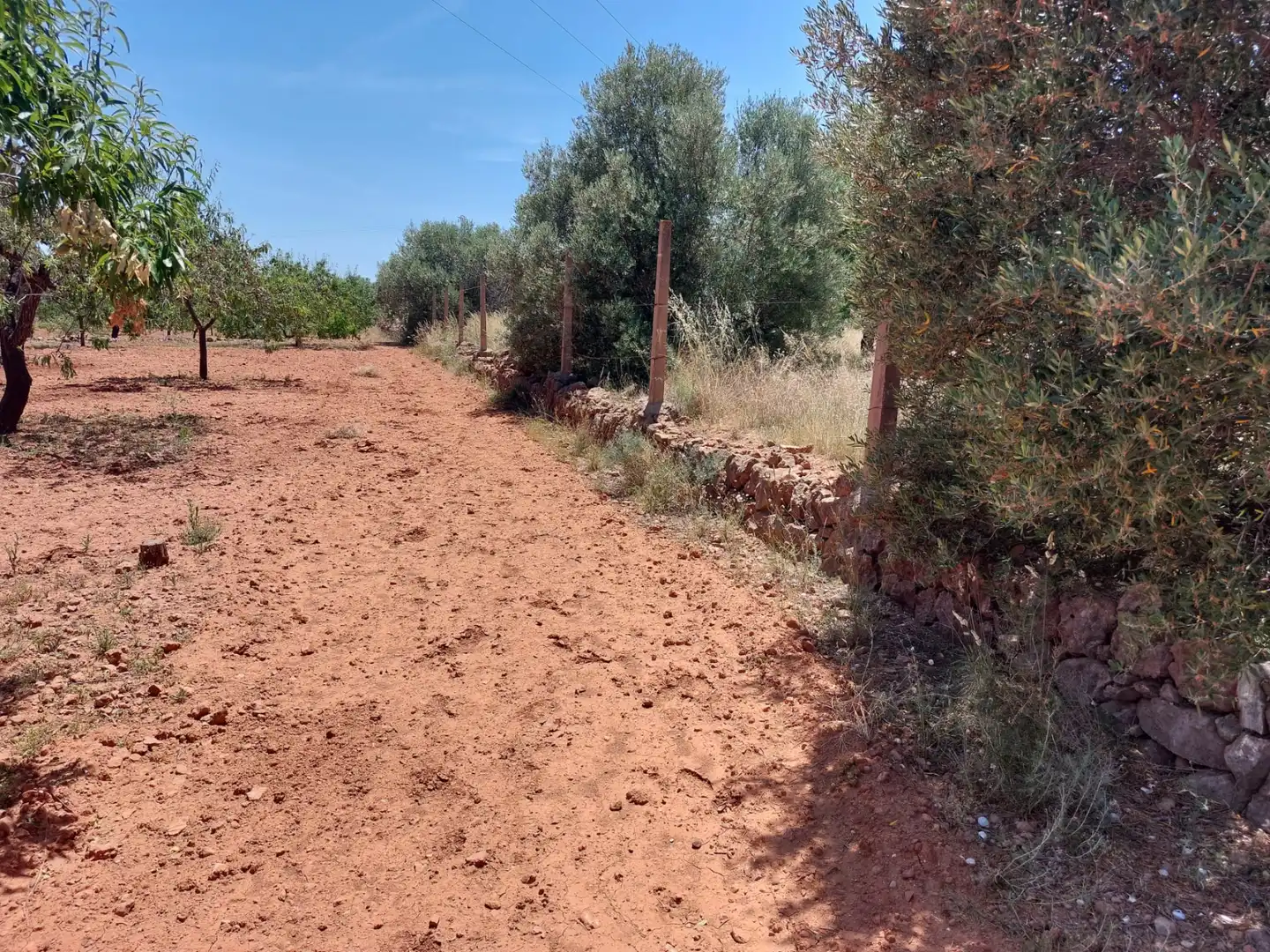 Terreno en venta en Náquera