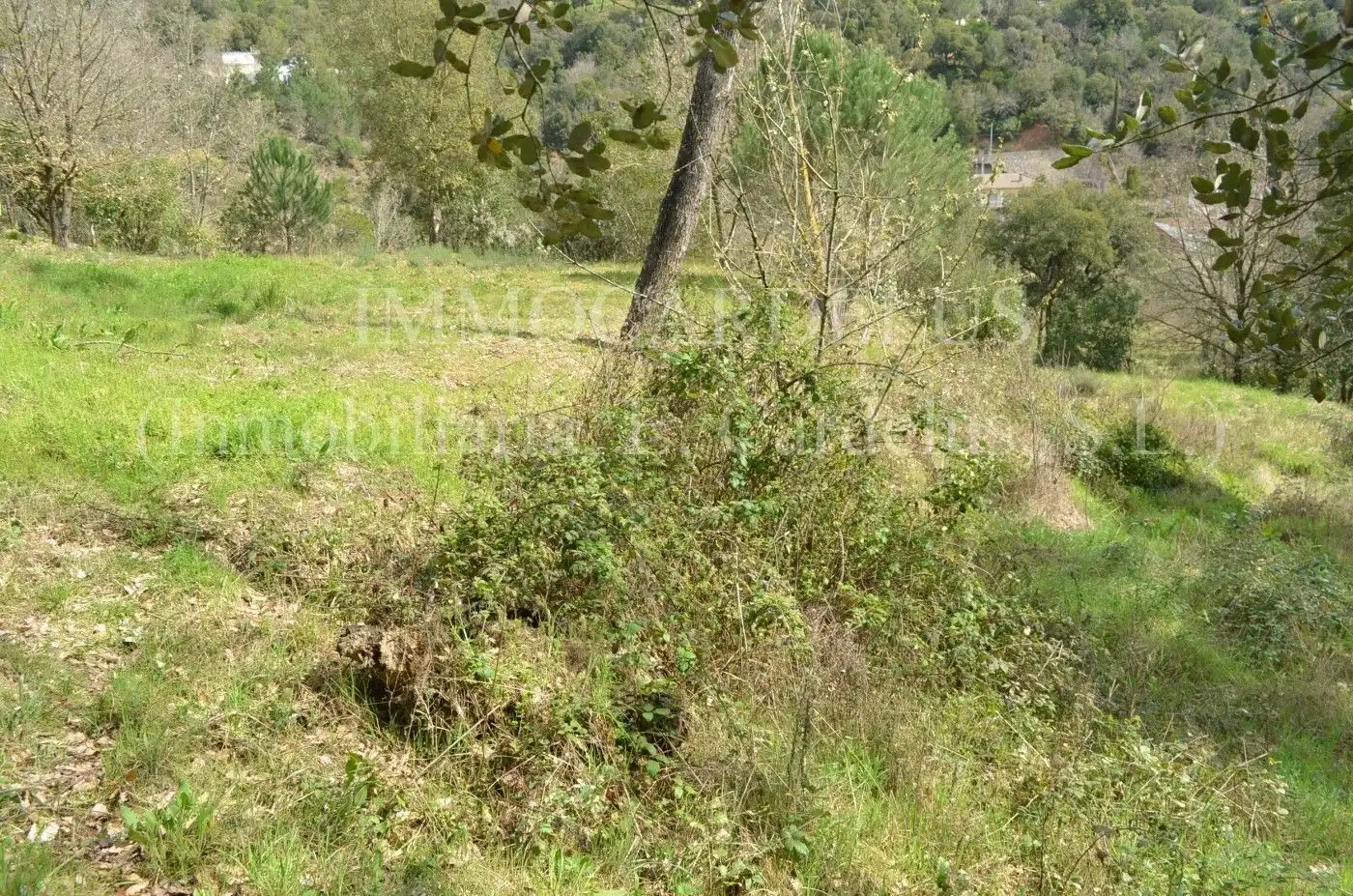 Terreny residencial en venda a Riells i Viabrea