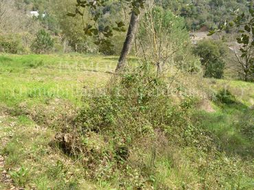 Residential land for sale in Riells i Viabrea