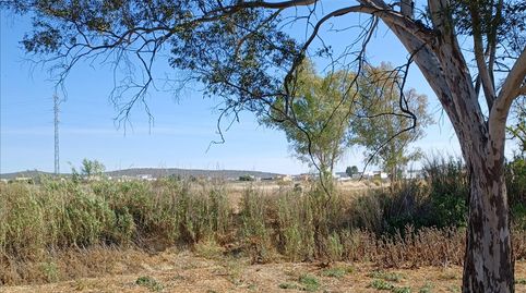 Photo 5 of Residential for sale in Pp-oe-r5, Burguillos, Sevilla
