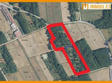 Terreny rústic en venda a Xunqueira de Ambía