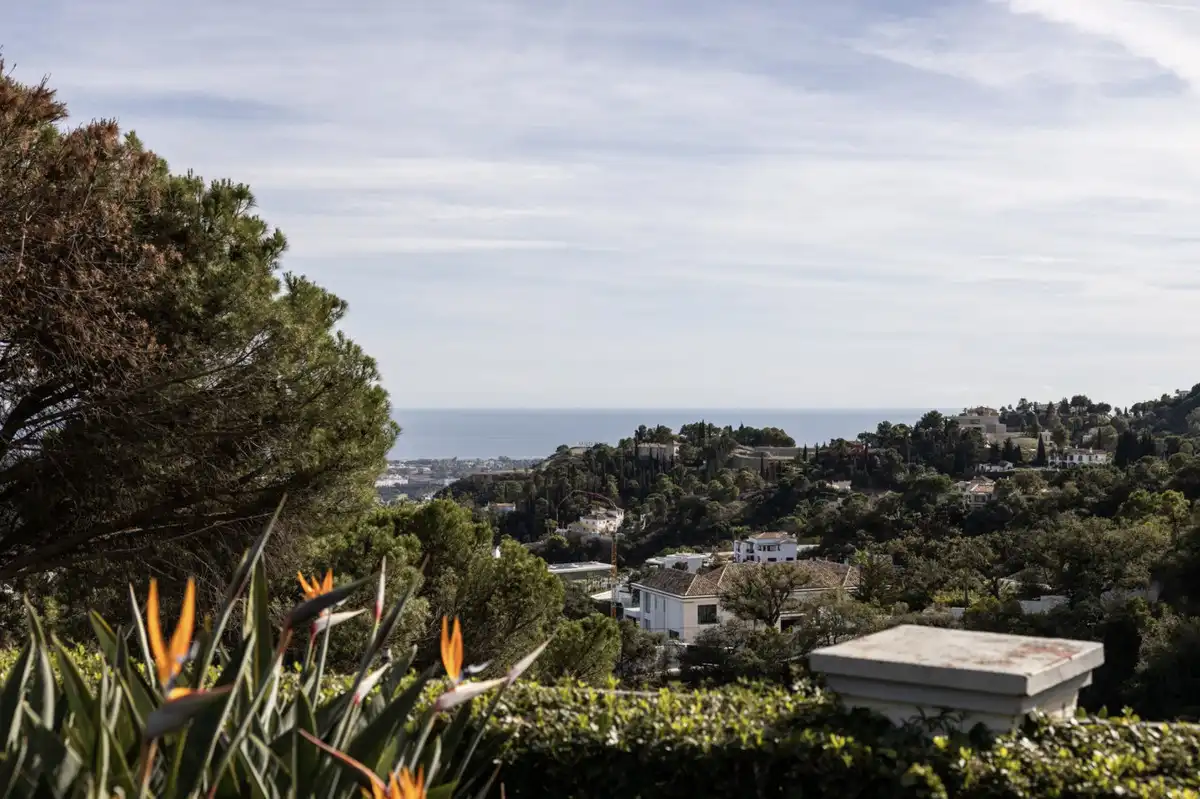 Garden of Detached homes for sale in Benahavís  with Air Conditioner, Terrace and Jacuzzi