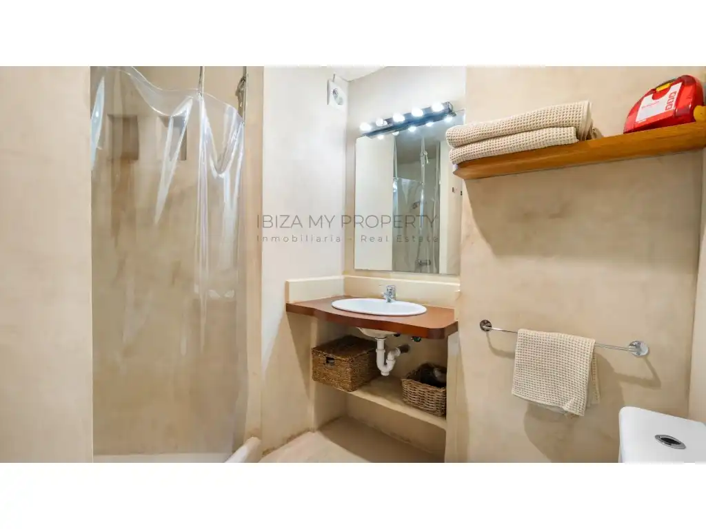 Bany de Apartament en venda en Formentera amb Aire condicionat, Terrassa i Moblat